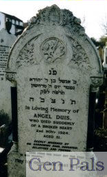 Duis, Angel